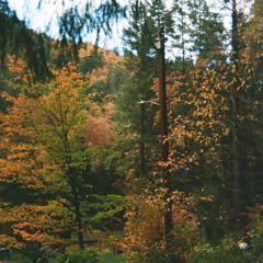 doing circles in the drain