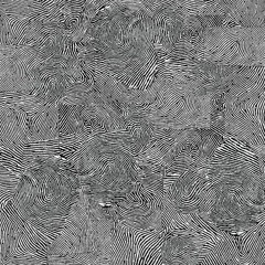 Backiatomy-ft. BlackMikeStidham