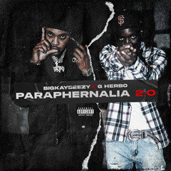 Paraphernalia 2.0 (feat. G Herbo)