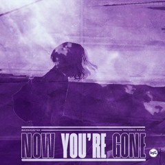 Basshunter - Now You're Gone (Machiko Remix)