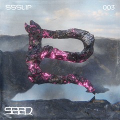 SEED003 ~ SSSLIP ~ 'resurrection in familiar space' ~ on anticipation & acceptance