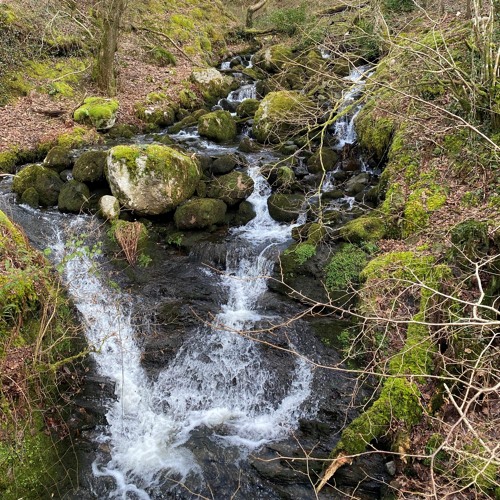 Taith Sain Cwm Henllys efo Jon Gower