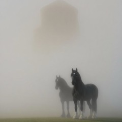 Beautifully Broken (3j.wav