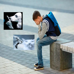 собаки гавкают