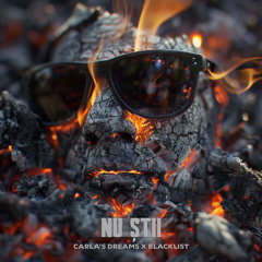 Carla's Dreams & Blacklist - Nu Știi