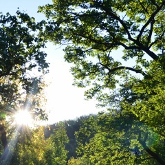 Bright New Day