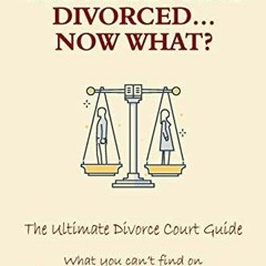 EBOOK  You're Getting Divorced...Now What?: The Ultimate Divorce Court Guide