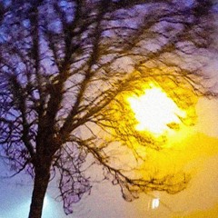 94. Trippys_World - I Got U I Mean It (Cover)