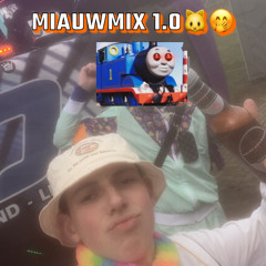 Katachtige Miauwmix 1.0🐱