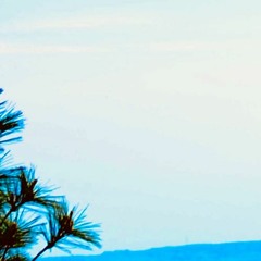 Blue Heron