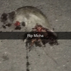 CHIMP$ - RIP Micah (SON B x lily ragy x METH HEAD)