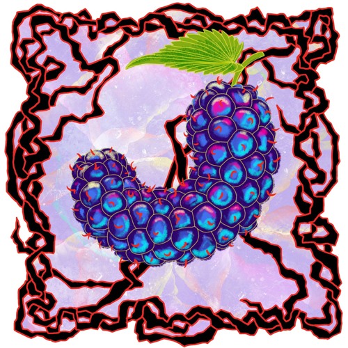 FRUITCAST #74 I E-Gerät I mulberrys moaning at funky float