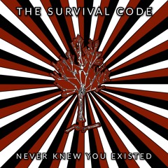Never Knew You Existed