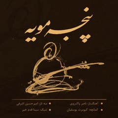 Chaharmezrab Panjeh Mouyeh | چهارمضراب پنجه مویه