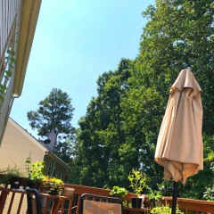 climbin higher with no ladder [Stbb 705]