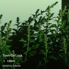 Town On Lock