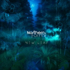 Northern Form - Ambient II