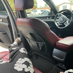 Come Home - DROPASLIPBIH