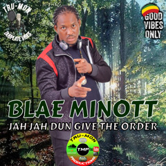 BLAE MINOTT - Jah Jah Dun Give The Order / TruMon Dubplate