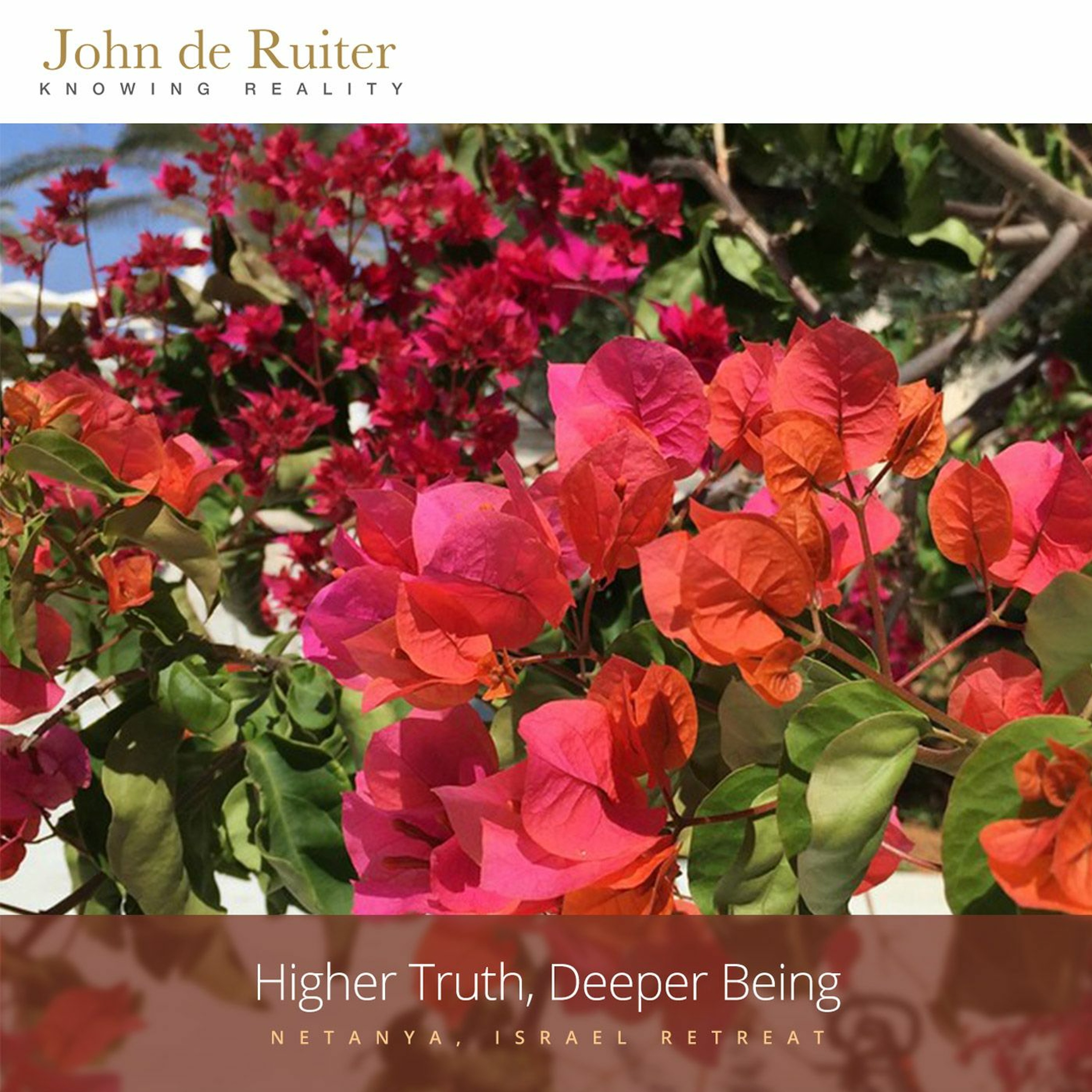 307 - Higher Truth, Deeper Being - 1 of 6 episode artwork