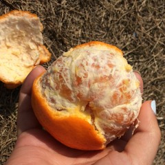 peeling orangez (original)