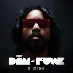 Dām Funk X Nina