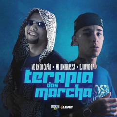 TERAPIA DAS MARCHAS - MC RN DO CAPÃO_ MC LUKINHAS SA E DJ DAVID LP (VISUALIZER)