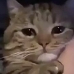 Jeanette - El Muchacho de los Ojos Tristes