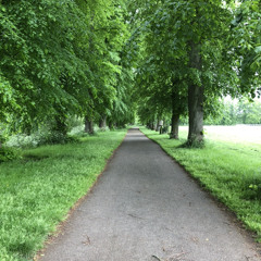 In a previous life