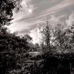 Anything but straight