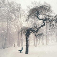 Northern Project - Cold (Extended)