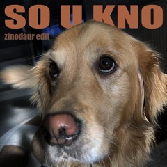 Overmono - So U Kno ( zinodaur edit )