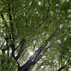 DovreiLasciartiAndare.m4a