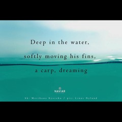 A carp, dreaming [naviarhaiku364]