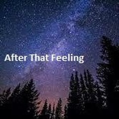 BoMMeL LiVe - AfterThatFeelinG (170er)