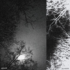 retreat away from everyone i love「cosmik x nihil」