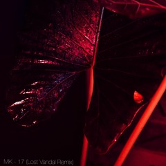 MK - 17 (Lost Vandal Remix)