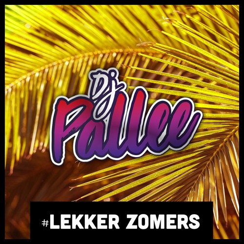 Dj Pallee - Lekker Zomers Mixtape