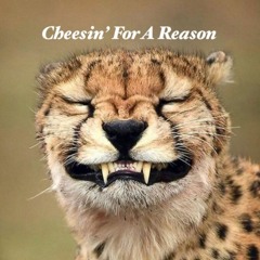 Cheesin' For A Reason