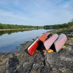 BeeLine - BOREAL 2023