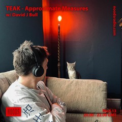 TEAK: Approximate Measures w/ David J Bull