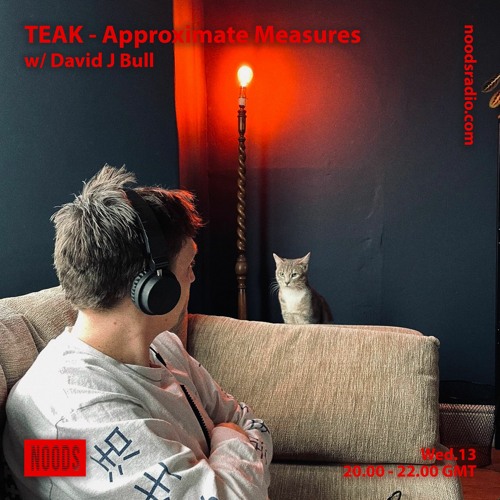 TEAK: Approximate Measures w/ David J Bull