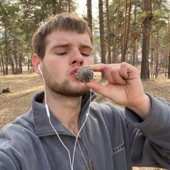 Моя семья