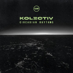 Kolectiv - Calibrate (feat. PAV4N) [Premiere]