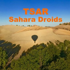 Sahara Droids 1