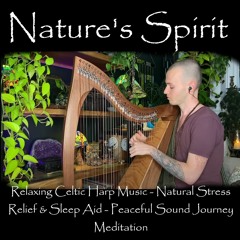 Relaxing Celtic Harp Music - Natural Stress Relief & Sleep Aid - Peaceful Sound Journey Meditation