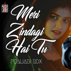 NFAK | Meri Zindagi Hai Tu  Cover | REMIX | Punjabi RDX | 2022