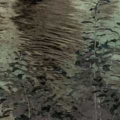 PLEASURE (TRACK II)