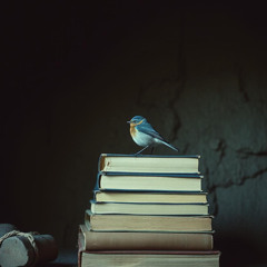 Bluebird
