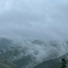 Mist 2
